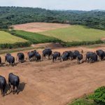 “Rússia lança ataque em larga escala contra Kiev, matando 10 pessoas”