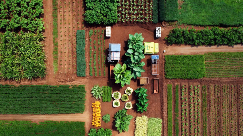 Transparência e credibilidade: Aldo Vendramin destaca como o monitoramento de ponta a ponta fortalece a segurança alimentar.