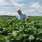 Riscos comuns no transporte de ATMs e como evitá-los