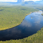 Projeto contra o crime organizado no Congresso expõe disputa política e desafios da segurança pública